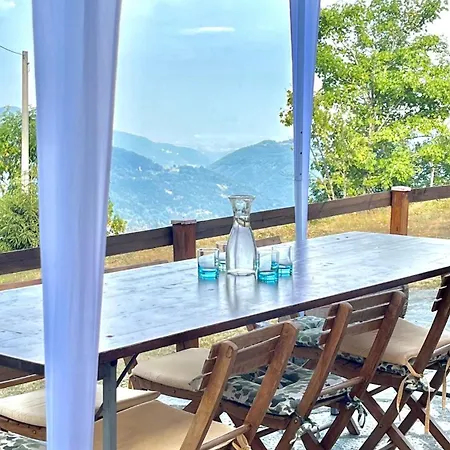 Alpina Di Pinot * Frassino (Cuneo)