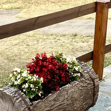 샬레 Alpina Di Pinot