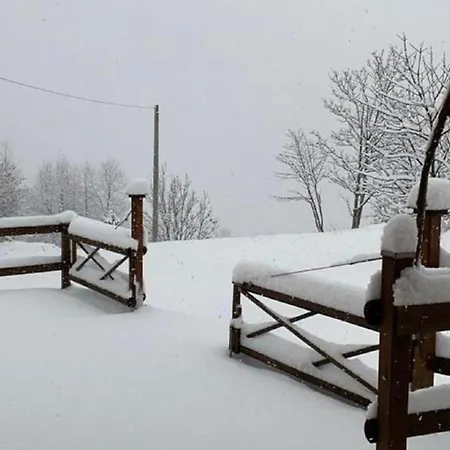 샬레 Alpina Di Pinot *