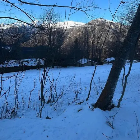 Alpina Di Pinot * Frassino (Cuneo)