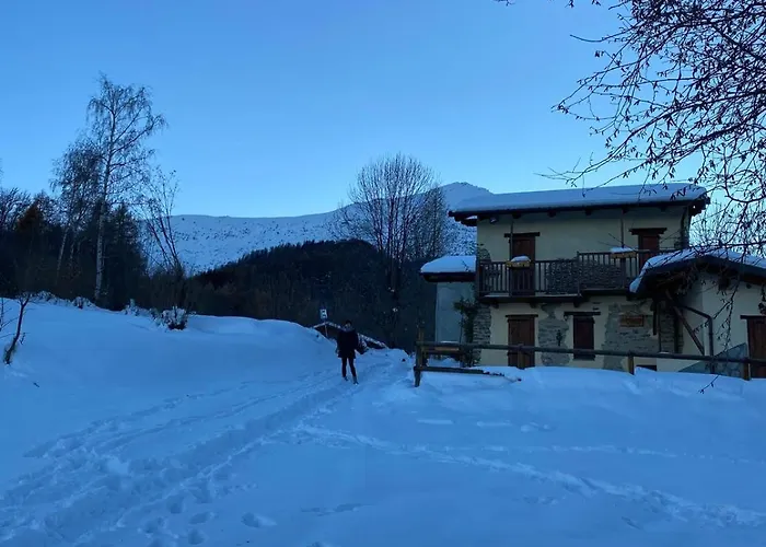 Alpina Di Pinot * Frassino