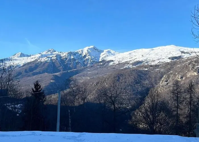 Alpina Di Pinot *